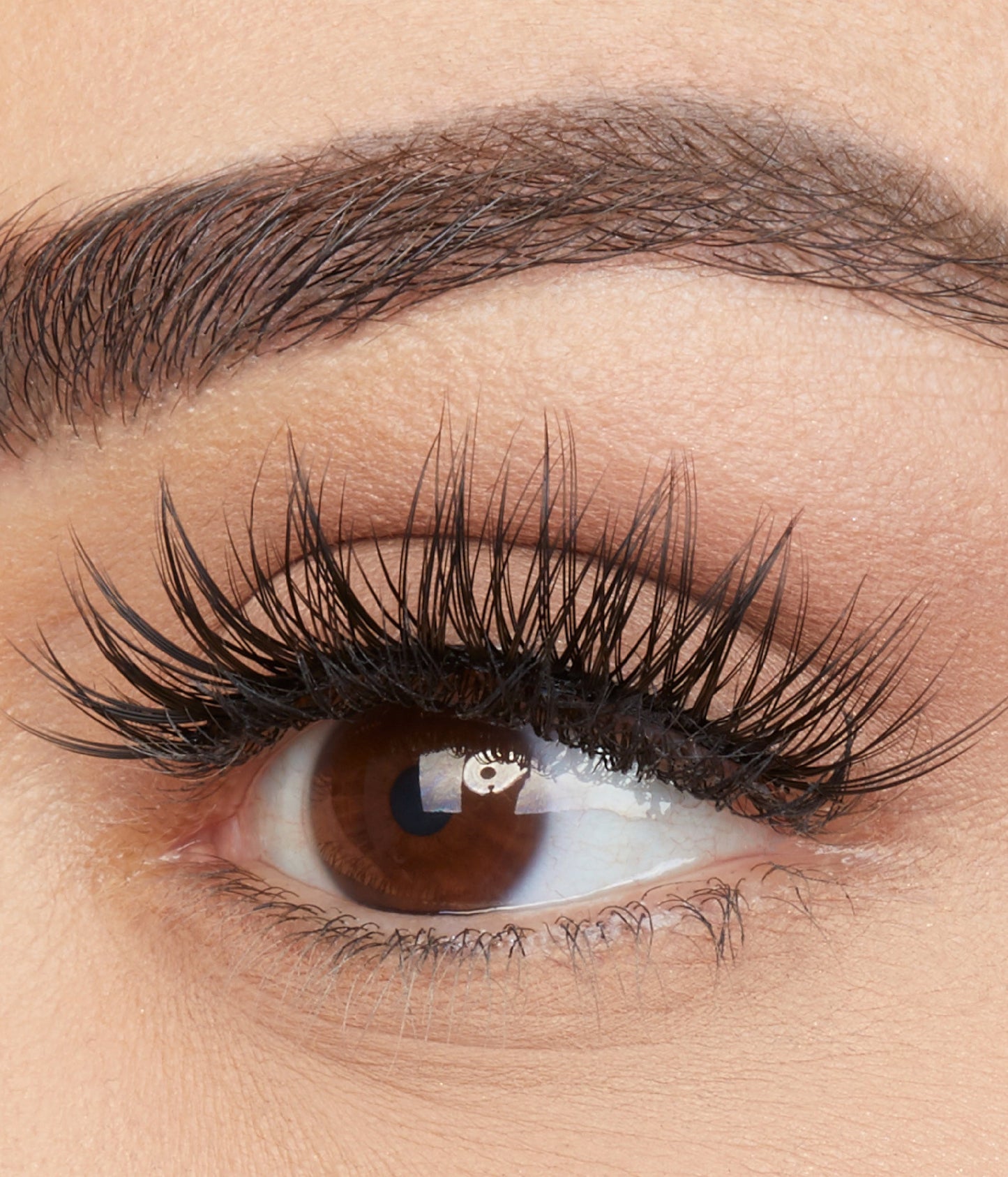 FAUX MINK LASH - FARAH #12 - US 6409